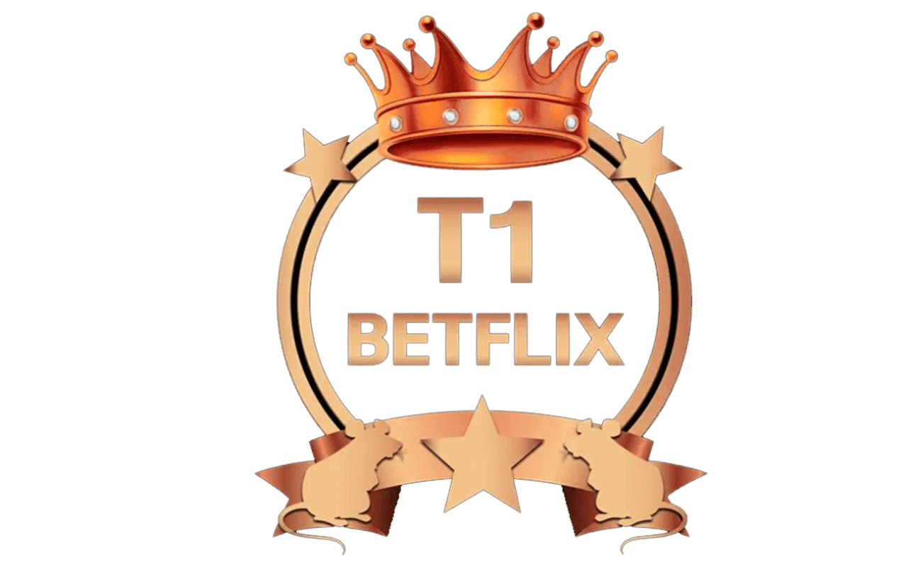 t1betflix.info